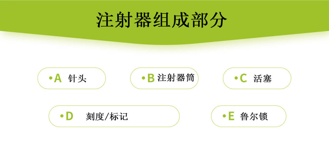 注射器组成部门.jpg